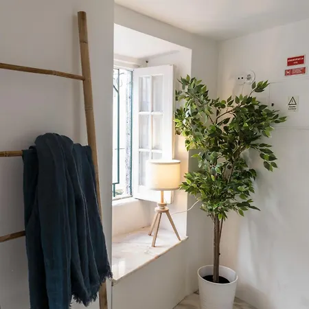 Beautiful 1 Bedroom In Appartement